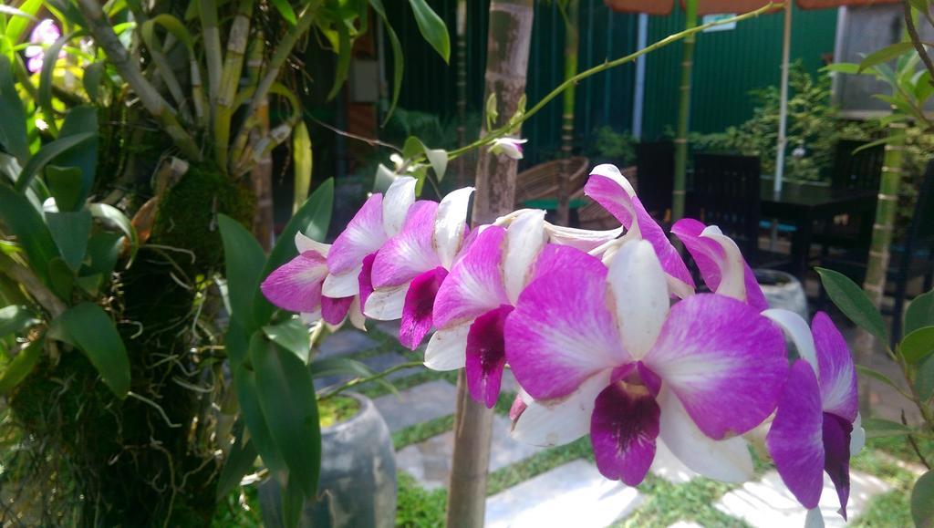 Siem Reap Green Home Guesthouse Exterior photo